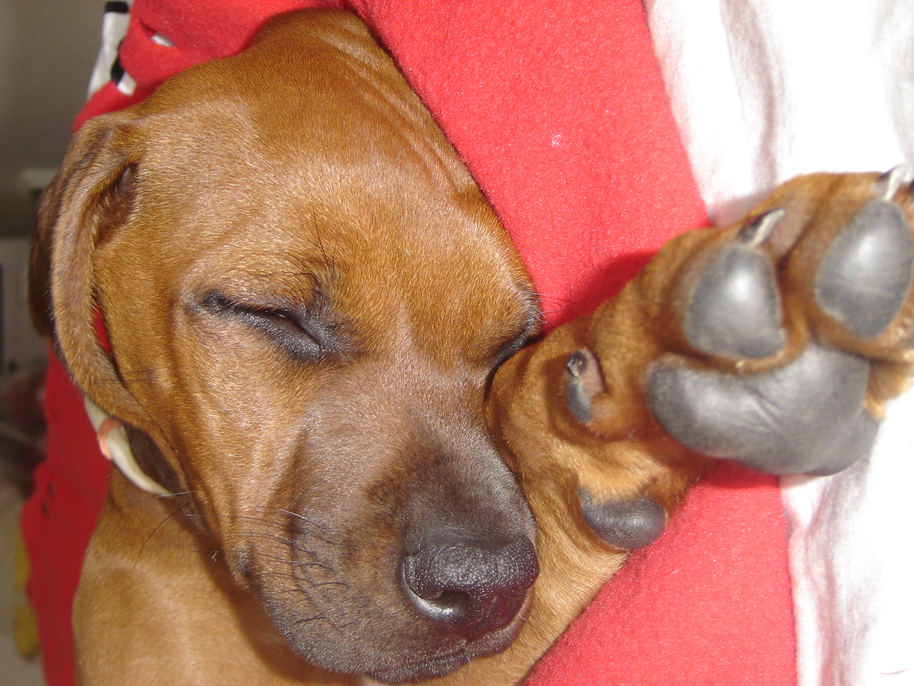 8.týden02